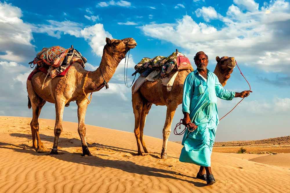 Safari dans le desert du Rajasthan