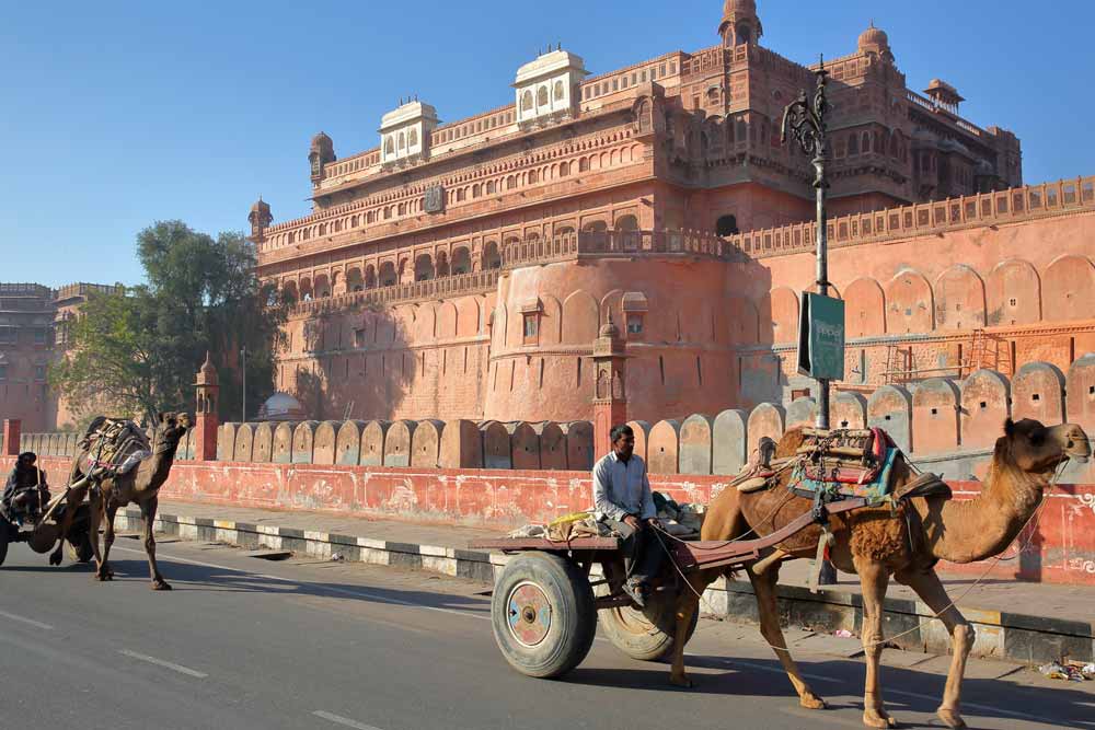 Voyage Le meilleur du Rajasthan 